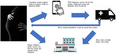 Understanding gender dynamics in mHealth interventions can enhance the sustainability of benefits of digital technology for maternal healthcare in rural Nigeria